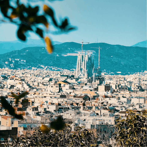 Stay right in the heart of the city, beside the famous Plaza Catalunya and Las Ramblas