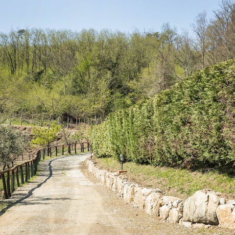 Explore the countryside around Aulla