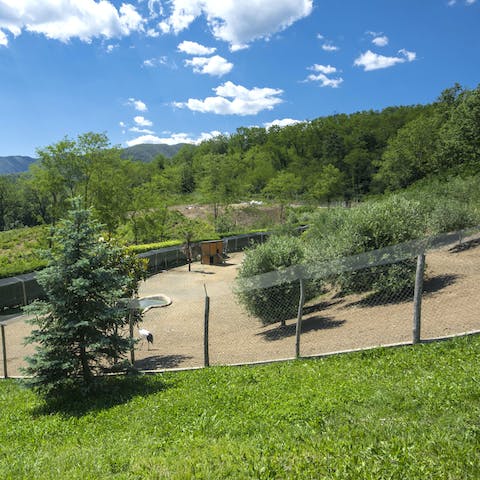 Walk around this Tuscan home's beautiful green grounds