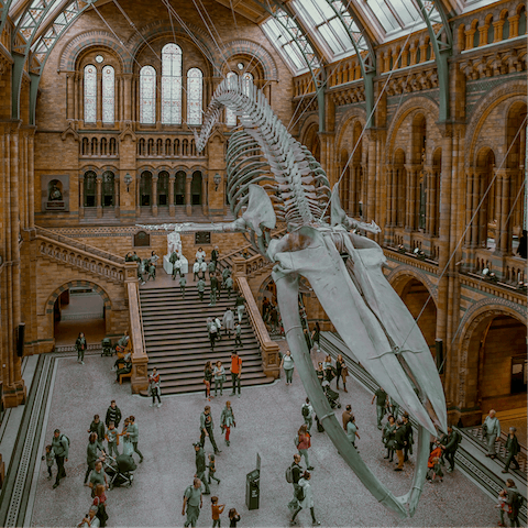 Hop on the District Line at Fulham Broadway station and arrive at the Natural History Museum