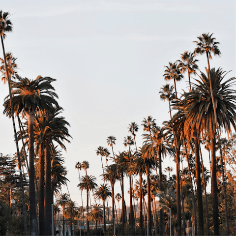 Shop 'til you drop at the iconic Beverley Hills and its luxury boutiques