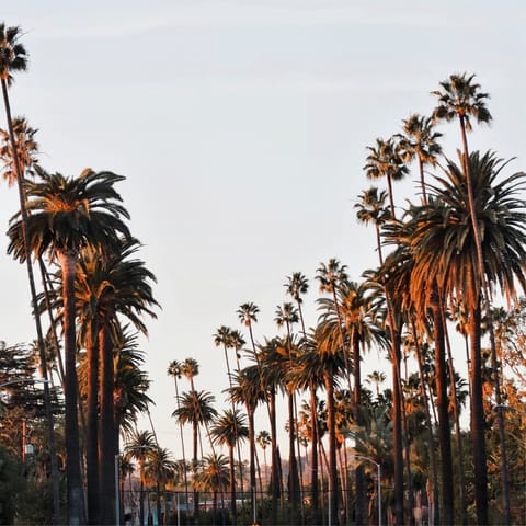 Shop 'til you drop at the iconic Beverley Hills and its luxury boutiques