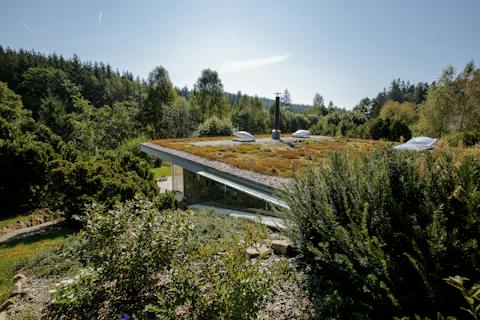 Enjoy the tranquil forest location