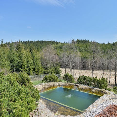 Take a dip in the home's natural pool