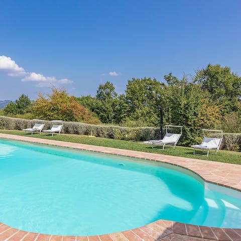 Take a refreshing dip in the glittering blue swimming pool