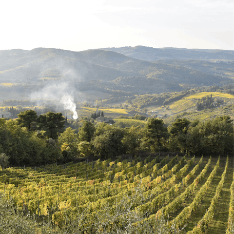 Explore the beautiful verdant landscapes of Monferrato