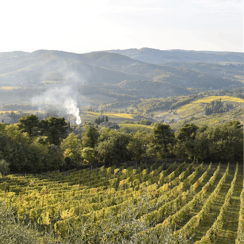 Explore the beautiful verdant landscapes of Monferrato