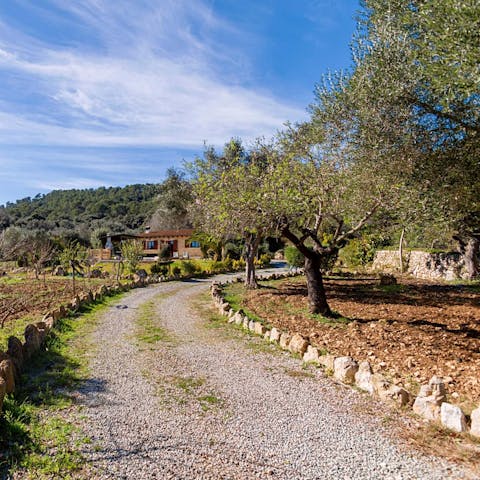 Explore the surrounding woodlands of this blissfully secluded home