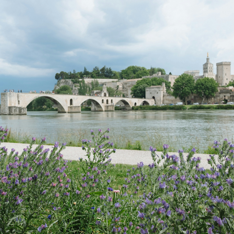 Explore the charming city of Avignon, around a forty-minute drive away
