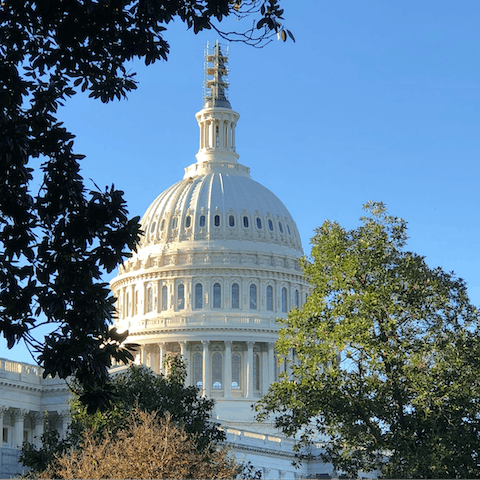 Enjoy the tranquility knowing that you're a mere fifteen-minute drive from downtown DC