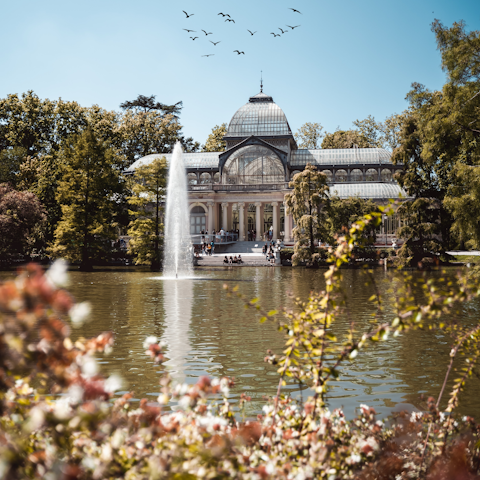 Go boating on El Retiro Park's lake, under a thirty-minute walk away
