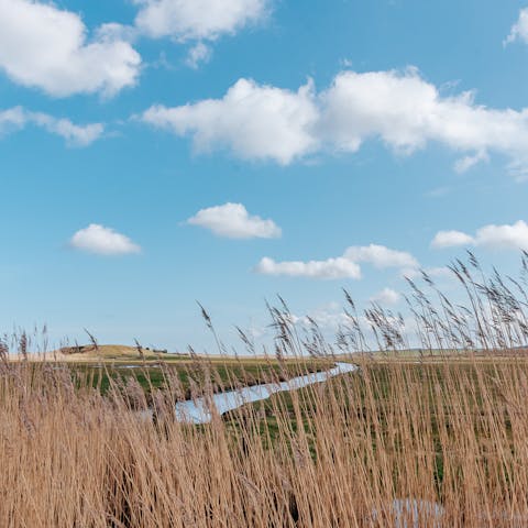 Stay in the village of Eastmoor, near the market town of Swaffham