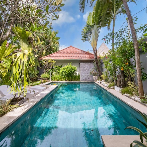 Lounge beneath palm trees around the pool