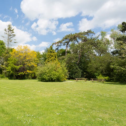 Get lost exploring the 0.75 acres of land this home offers