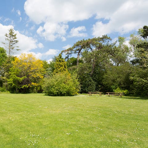 Get lost exploring the 0.75 acres of land this home offers