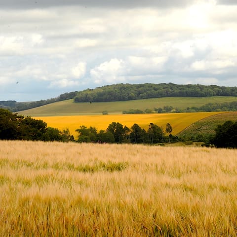 Explore the South Downs National Park, thirty minutes away by car