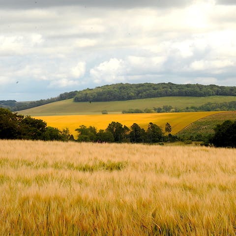 Explore the South Downs National Park, thirty minutes away by car