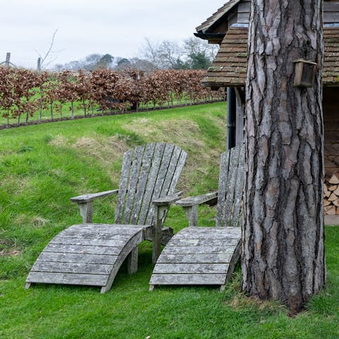 Soak up some sun on your home's outdoor loungers