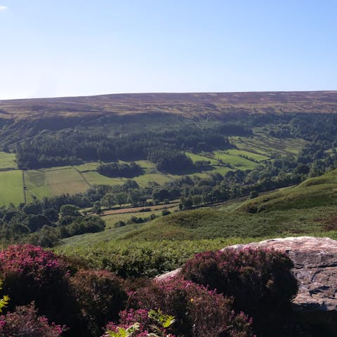 Stay near the market town of Thirsk, known for its racecourse