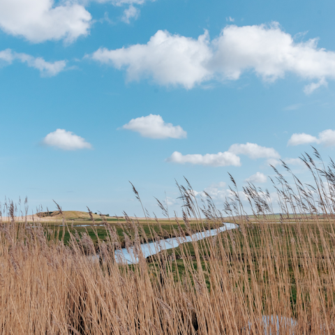 Explore the Broads – Horsey Mere is just a ten-minute walk