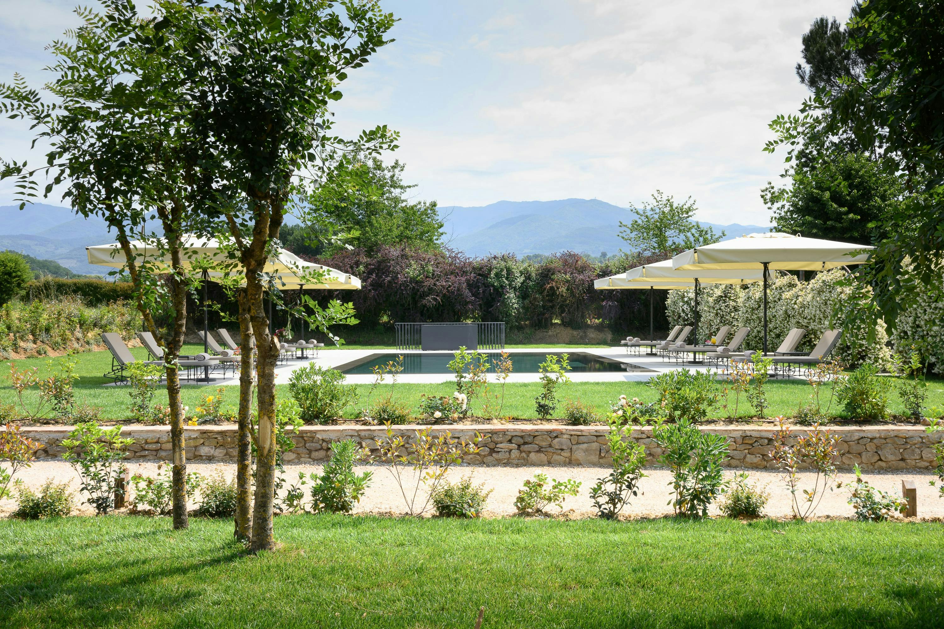 Lunch Under the Valdarno Sky
