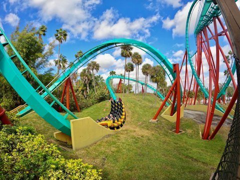 Ride world-class roller coasters at Busch Gardens Tampa, a forty-minute drive