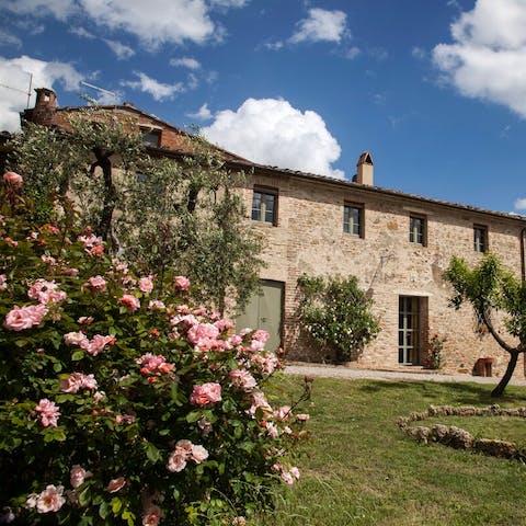 Relax in the home's pretty gardens