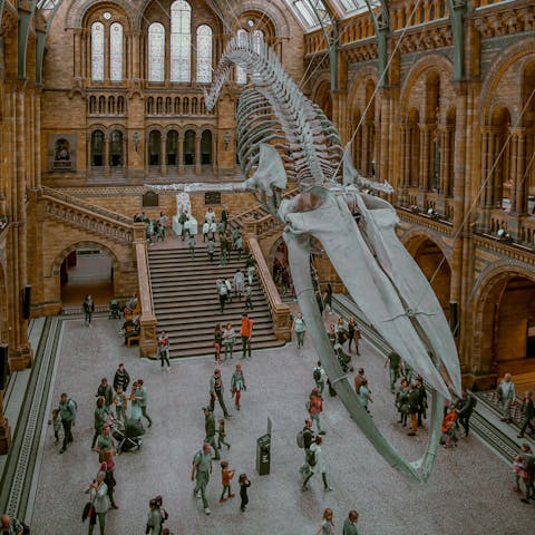 Travel three stops on the Tube to the Natural History Museum