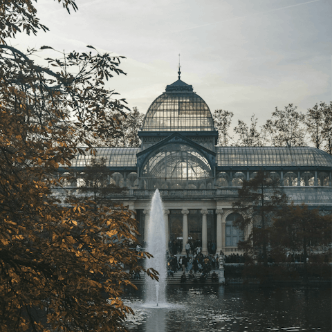Enjoy an afternoon stroll through El Retiro Park