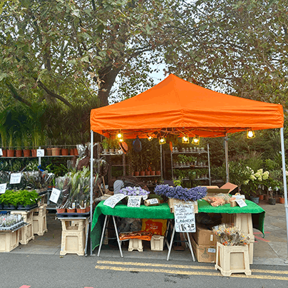 Take a Sunday stroll around Columbia Road Flower Market - a must-visit in the area