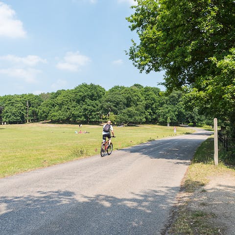 Start the morning with a walk in Richmond Park