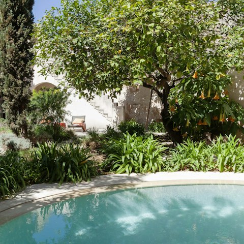 Cool off in the saltwater pool and jacuzzi
