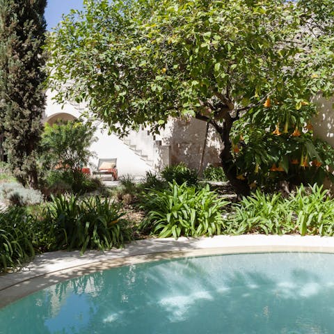 Cool off in the saltwater pool and jacuzzi