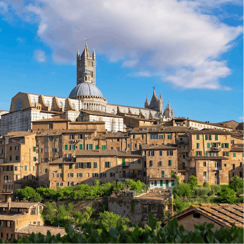 Spend the day exploring Siena – only a fifty–minute drive away.