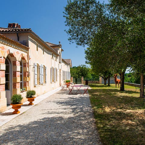 Take a walk around the estate, followed by a glass of wine on the terrace