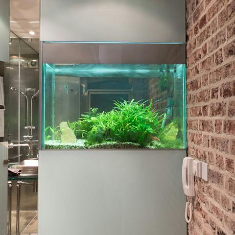 The characterful bathrooms