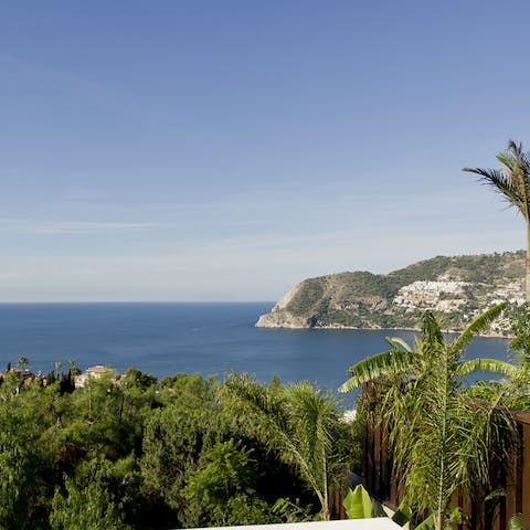 Gaze out at the stunning sea views from the garden