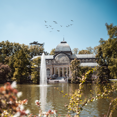 Cycle by the lake at the lush and peaceful El Retiro Park