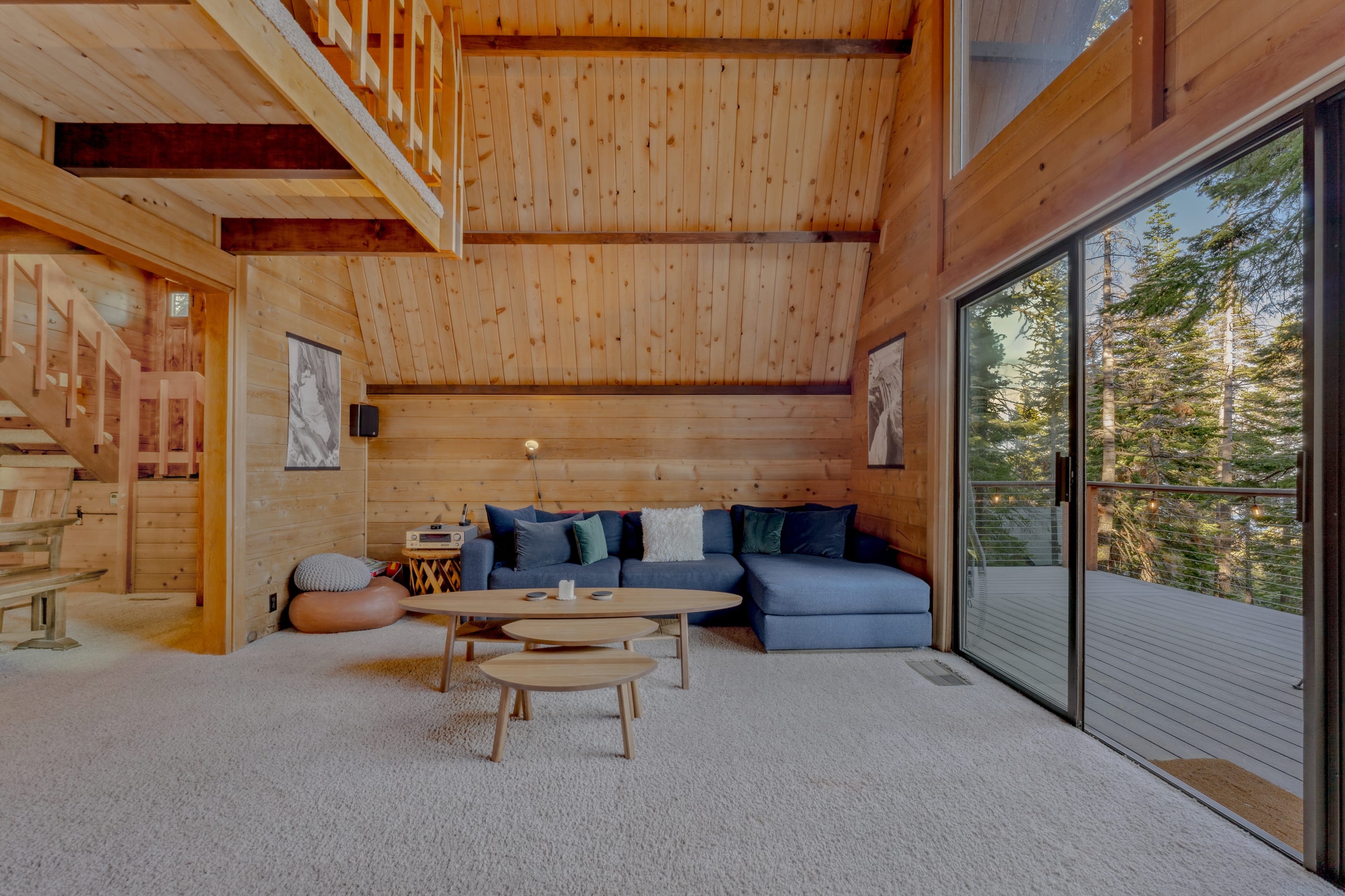Pine & Meadow