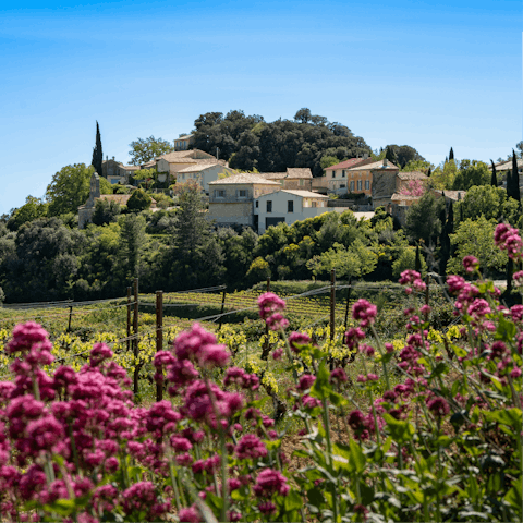 Visit the charming village of Suzette, just a short drive away
