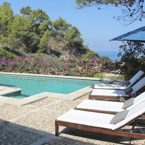 While away sunny afternoons on the terrace, flitting between the pool, the lounge chairs and the hammock