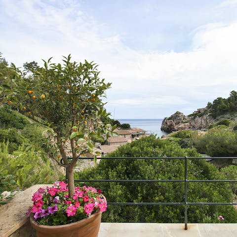 Admire the views over the hills and towards the sea