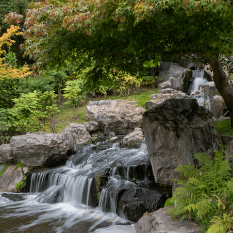 Enjoy a leisurely afternoon stroll in nearby Holland Park