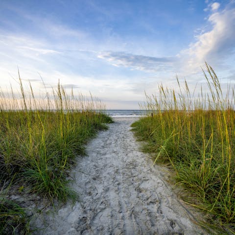 Discover blissful beaches along the coast of Hilton Head Island