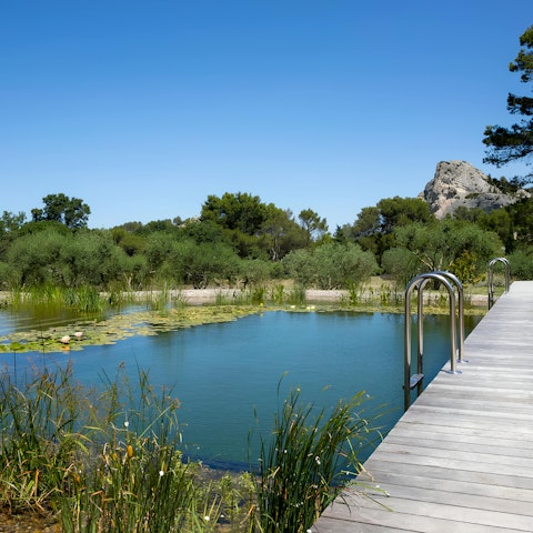 Take a wild dip in the natural pond