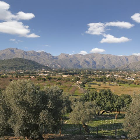Gaze across the hilltop landscape overlooking the bay of Pollença and the Serra Tramuntana