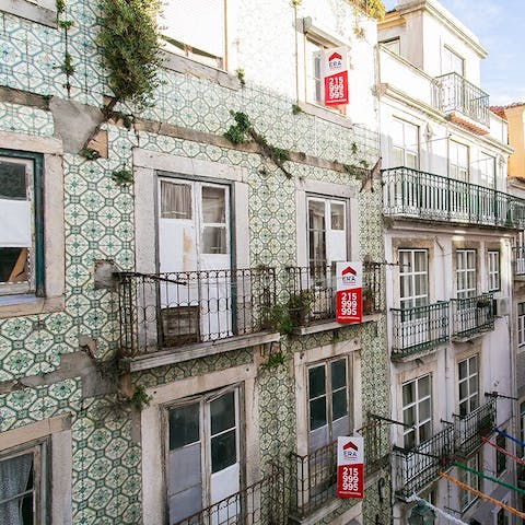 Open your windows to traditional views from a new angle
