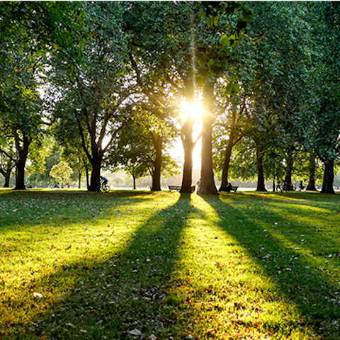 Enjoy a fresh-air-filled stroll through nearby Hyde Park