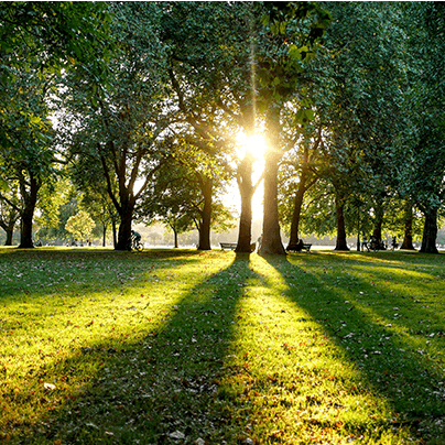 Enjoy a fresh-air-filled stroll through nearby Hyde Park