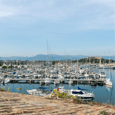 Discover Port Vauban, only 100 meters away